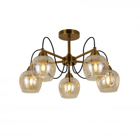 Потолочная люстра Evoluce Acro SLE110002-05