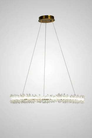 Подвесной светильник светодиодный AM Group AM455 L800 POLISHED GOLD (220V, на проводе, кольцо)