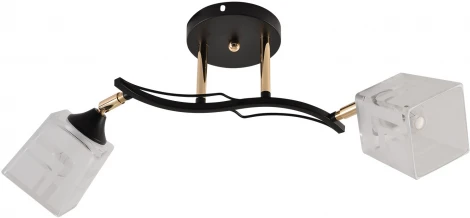 Спот на штанге Reluce 01594-3.3-02B BK+FGD (220V)