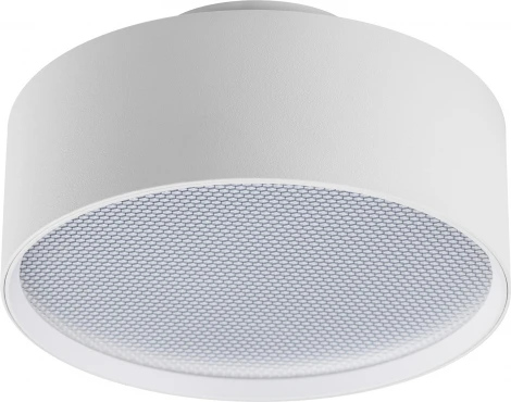 Накладной потолочный светильник Lightstar Acuto 215946 (LED, 220V, круглые)