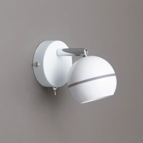 Спот Citilux Раймонд CL555510