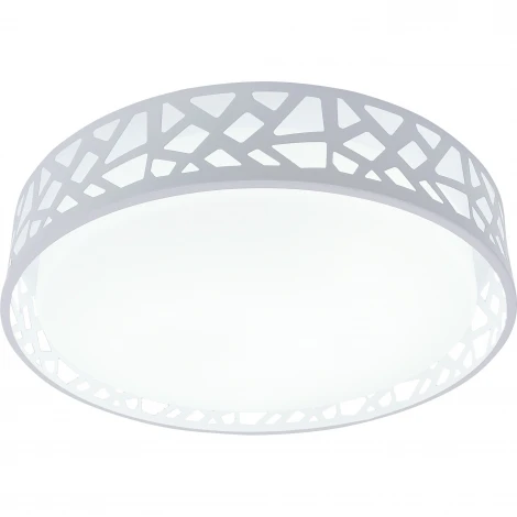 Потолочный светильник круглый Toplight Leone TL1205X-72WH (LED, 220V, круглые)