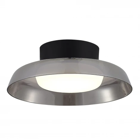 Потолочный светильник светодиодный ST Luce Foray SL6019.412.01 Черный/Дымчатый, Белый LED 1*36W 3000K