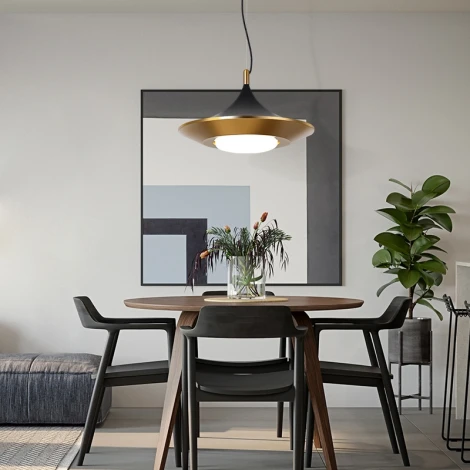 Подвесной светильник Rask ImperiumLoft Rask01 (151756-26) (LED, 220V, на тросе)