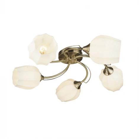 Потолочная люстра Wedo Light Shajena 66593.01.05.05