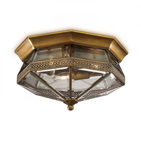 Потолочный светильник Odeon Light Lagon 2545/3