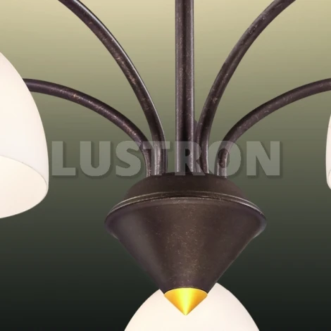 Потолочная люстра Odeon Light Tanais 2624/5C