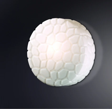 Настенно-потолочный светильник Odeon Light Luno 2246/2C