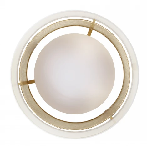 Потолочный светодиодный светильник круглый MyFar Anders MR2370-1CL (220V, круглые)