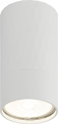 Точечный светильник ЭРА OL31 WH (220V)