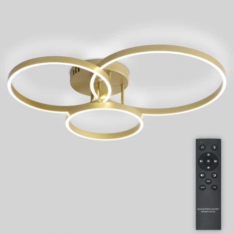 Потолочная люстра светодиодная с пультом Natali Kovaltseva Modern Ii LED LAMPS 81480 кольцо