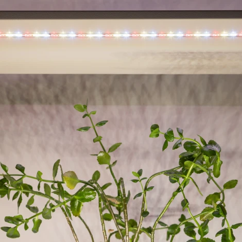 Светодиодная лента для растений 12V 3м ЭРА FITO-Strip Light-Rа90-27W-3m-12V-IP65