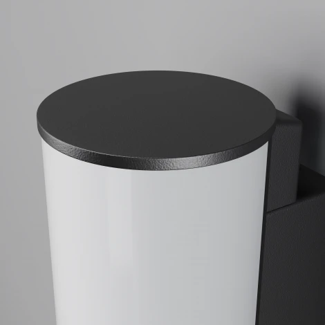 Настенный уличный светильник Maytoni Rock O434WL-L12GF3K (LED, 220V, круглые, IP54)