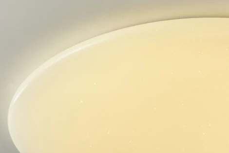 Потолочный светильник F-Promo Luna 2319-10C