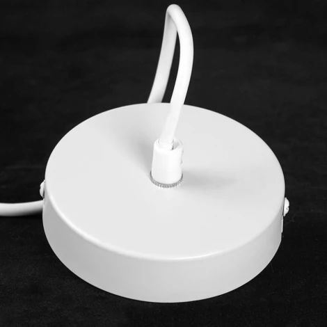 Подвесной светильник Lussole LSP-8973 (220V, на проводе)