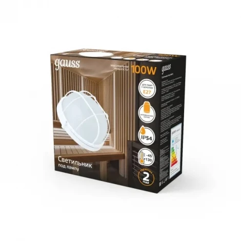 Настенно-потолочный светильник Gauss НБП 926602111 (220V, IP54)