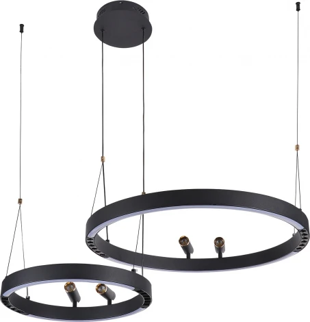 Подвесной светильник со спотами F-Promo Slinga 4474-2P (LED, 220V, на проводе, кольцо)