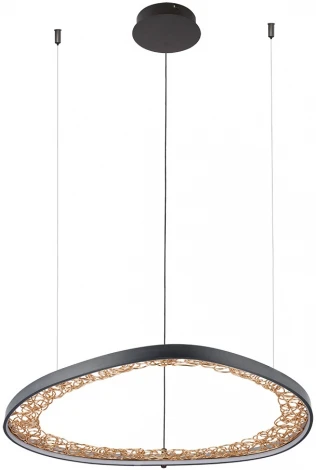 Подвесной светильник Arte Lamp Cinta A1847SP-46BK (LED, 220V, на тросе)