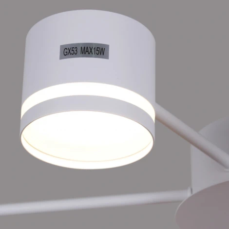 Потолочная люстра Reluce 06730-0.3-06 GX53 WT