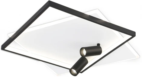 Настенно-потолочный светильник Ambrella COMFORT FL5138