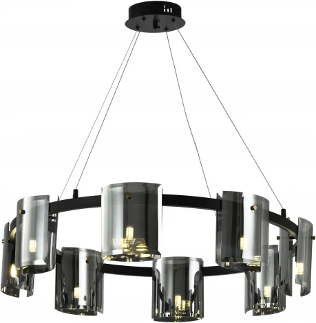 Подвесная люстра Zortes Rony ZRS.1209.08 (220V, на тросе, круглые)