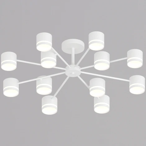 Потолочная люстра на штанге Reluce 89730-0.3-12 GX53 WT