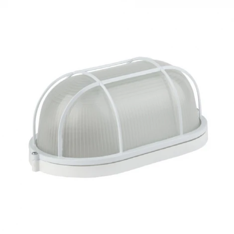 Настенно-потолочный светильник Feron НБП 04-60-002 53172