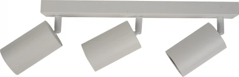 Потолочный светильник спот Brizzi Aras BR08087