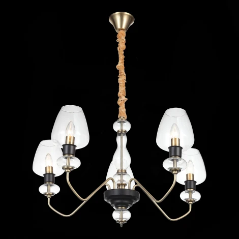 Подвесная люстра ST Luce Colienza SL1115.303.05