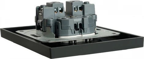 Розетка двойная без заземления со шторками (черный) Stekker Эмили 49851