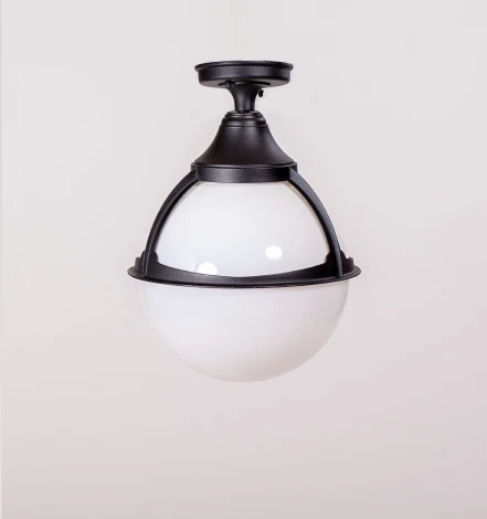 Потолочный светильник уличный Oasis Light GENOVA 88105A Bl (220V, фонарь, шар, IP44)