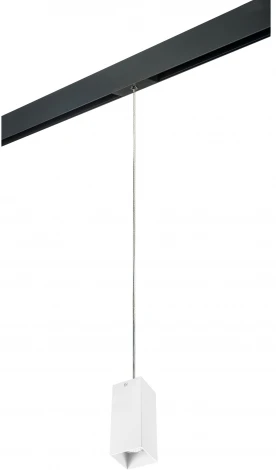 Трековый светильник однофазный 220V Lightstar Rullo PRORP386