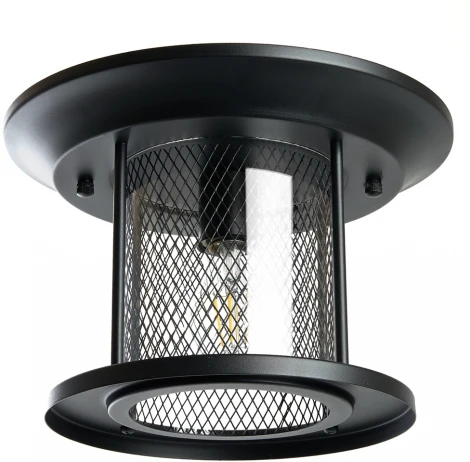 Потолочный светильник Feron Бордо 48387 PL723 60W E27 черный (220V, круглые, IP44)