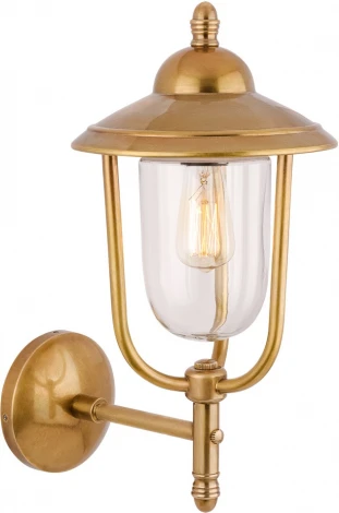 Настенный светильник уличный Covali WL-30972 (220V, IP54)