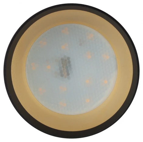 Точечный светильник ЭРА OL8 GX53 BK/GD OL8 GX53 BK/GD