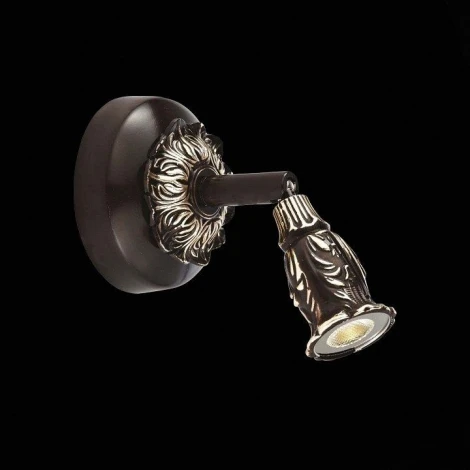 Спот ST Luce Stucchi SL575.601.01