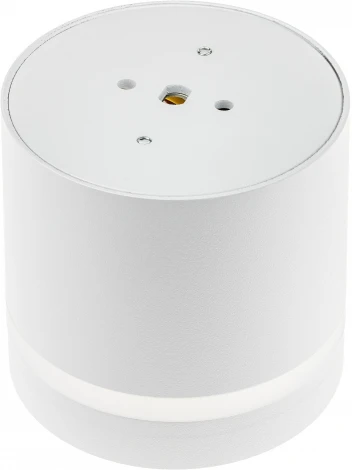 Накладной светильник Ritter Arton 59942 5