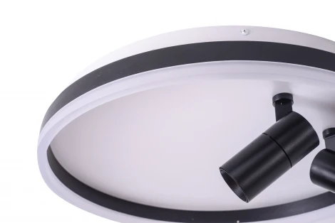 Потолочный светильник круглый со спотами Zortes Raizy ZRS.1888.01 (LED, 220V, круглые)