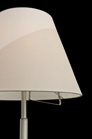 Торшер Freya Vanessa FR5084FL-01G