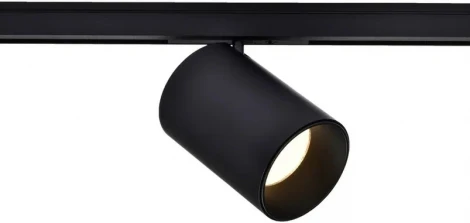 Трековый светильник низковольтный 5W 24V Wertmark WTL WTL.O10.607.40.05 (LED, круглые)