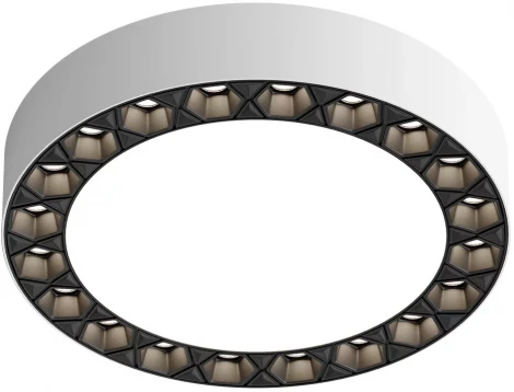 Потолочный светильник круглый Denkirs Dual DK2840-WB (LED, 220V, круглые)