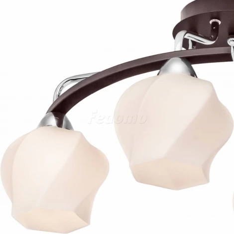 Потолочная люстра Silver Light Aranda 228.59.4