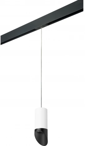 Трековый светильник однофазный 220V Lightstar Rullo PRORP43637 (круглые)