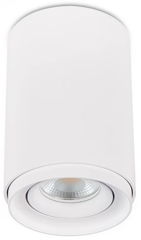 Накладной точечный светильник Simple Story 2065 2065-1CLW
