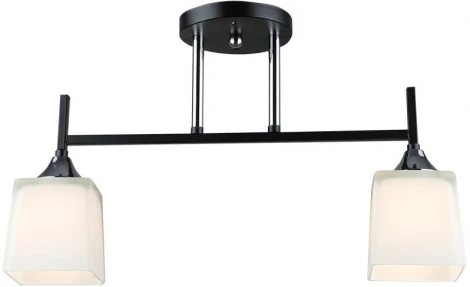 Потолочная люстра Wedo Light Semel WD3640/2C-BK-CR-WT