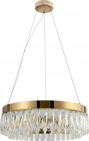 Подвесной светильник светодиодный Rivoli Mary 6129-101 (220V, на тросе, круглые)