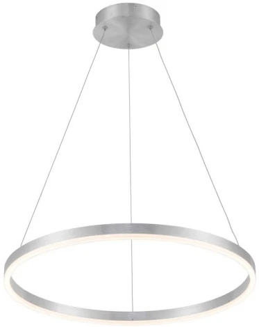 Подвесной светильник Planetary 4005/11/01P+CB (LED, 220V, пульт управления, на тросе, круглые, кольцо)