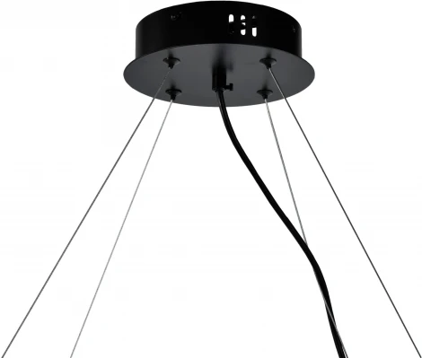 Подвесная люстра Zortes Rony ZRS.1209.08 (220V, на тросе, круглые)