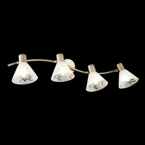 Спот Freya Paola FR7001WL-04BZ