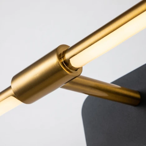 Подсветка для картин Favourite Insight 4016-2W (LED, 220V)